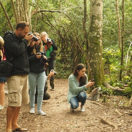 Volunteer with us - Monkeyland Primate Sanctuary, Plettenberg Bay, South Africa