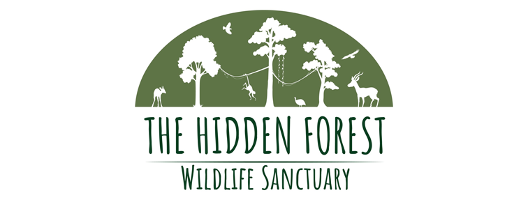 The Hidden Forest Wildlife Sanctuary Kwa-Zulu Natal