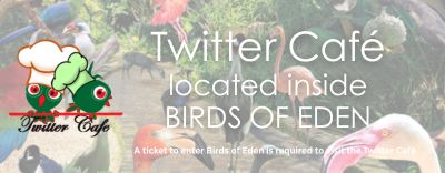 The Twitter Cafe